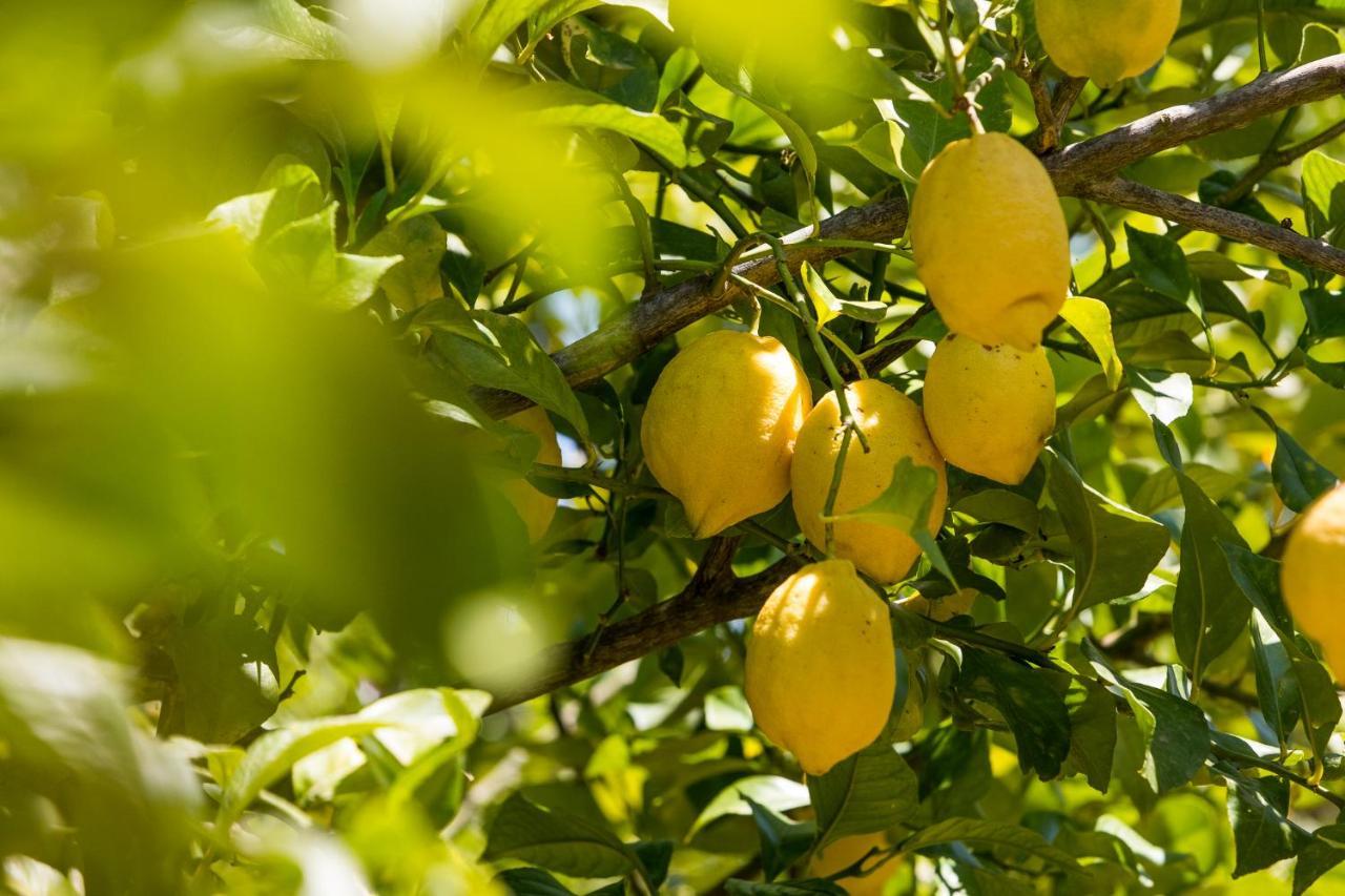 Agroturisme Can Planells Sant Miquel de Balansat Εξωτερικό φωτογραφία