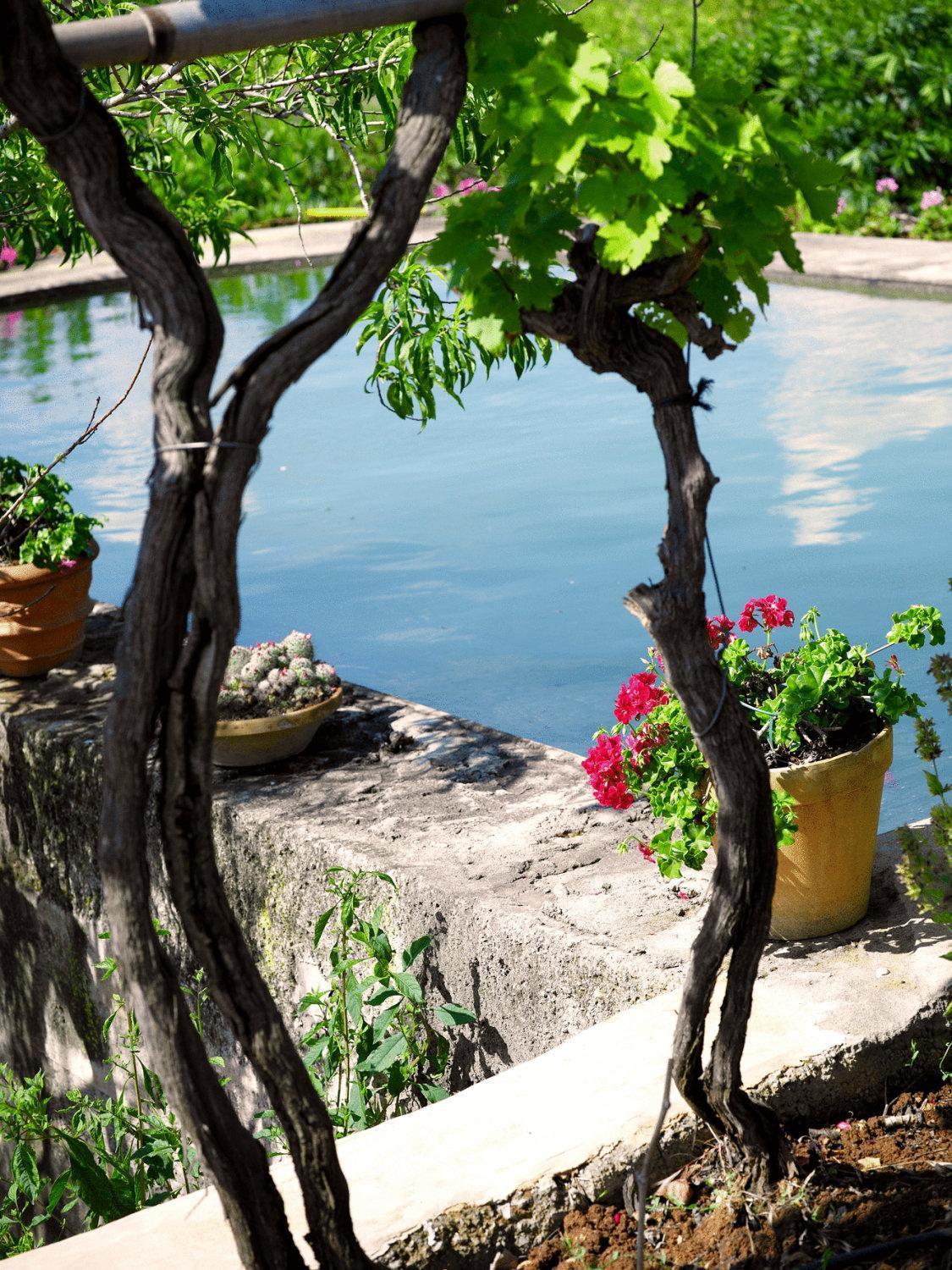 Agroturisme Can Planells Sant Miquel de Balansat Εξωτερικό φωτογραφία