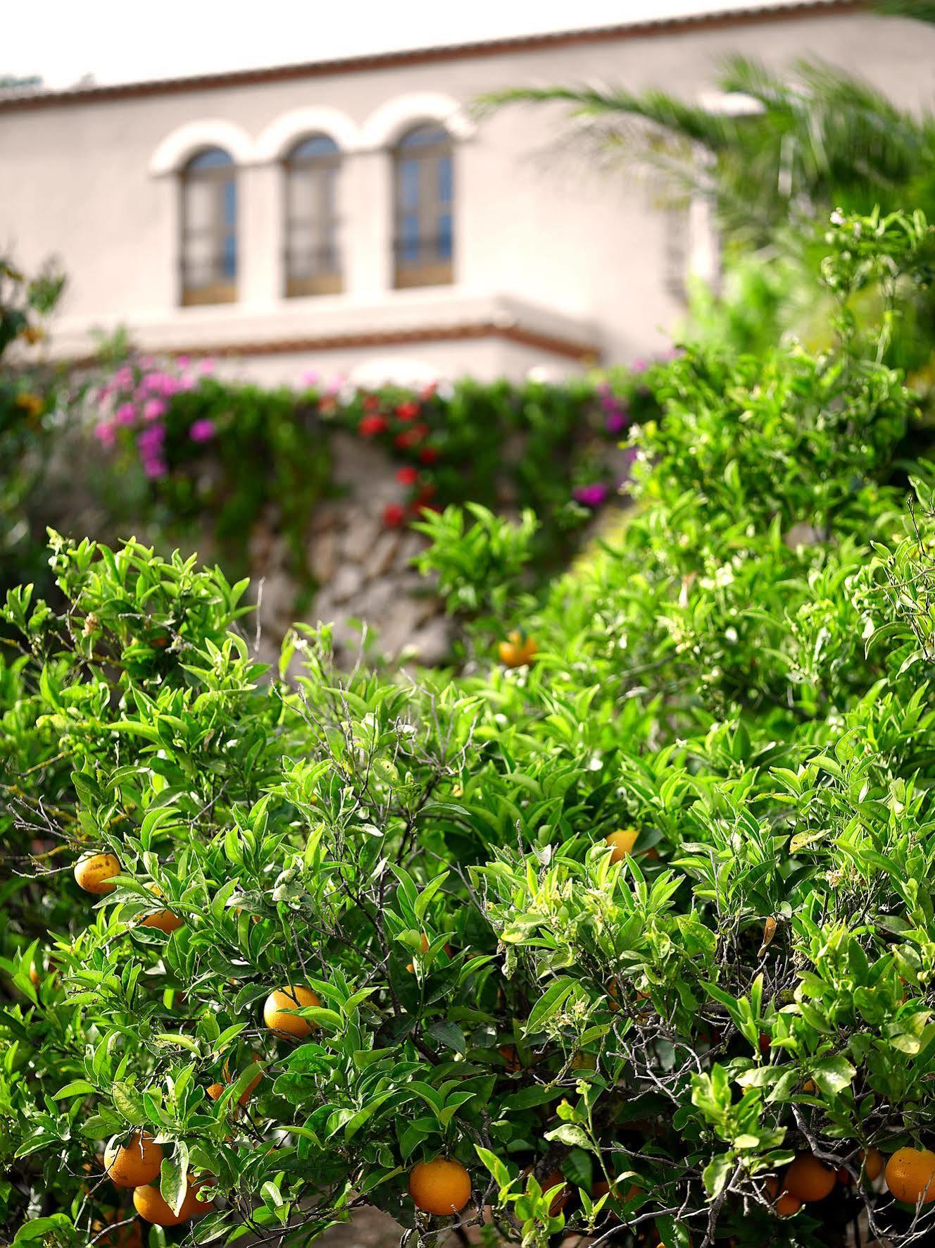 Agroturisme Can Planells Sant Miquel de Balansat Εξωτερικό φωτογραφία